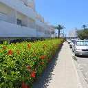 ���� ������, ������, 64 ���� - ��������� 14 ������� 2014 � ������ ���� ����������