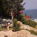 ���� Ridik, �����������, 44 ���� - ��������� 18 ������� 2014 � ������ ���� ����������