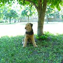 ���� ������, ������, 49 ��� - ��������� 6 ���� 2014 � ������ ������� �������