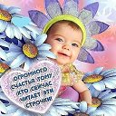 ���� �������, ������, 49 ��� - ��������� 25 ���� 2014 � ������ ������ ��������