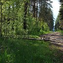 ���� �������, �������, 40 ��� - ��������� 3 ��� 2014 � ������ ����