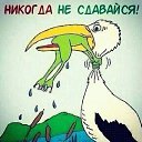 ���� �����, ���������, 43 ���� - ��������� 6 ������� 2014 � ������ ������ ��������