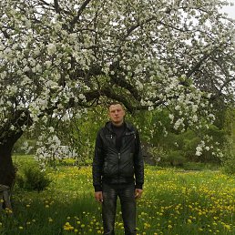 �������, �������, 40 ���