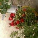 ��� ��� ����� �� ������� ���� ����������