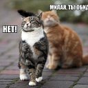 ���� **S�����**, ������ - ��������� 29 ���� 2014 � ������ ������ ��������