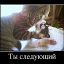 ���� ����������, �����������, 34 ���� - ��������� 22 ����� 2014 � ������ ������ ��������