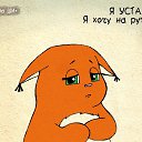 ���� ��������, ������, 34 ���� - ��������� 2 ��� 2014 � ������ ������ ��������