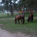 ���� ������, ����������� - ��������� 1 ���� 2014 � ������ ������� ����� ���� 2014 ����