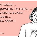  ,  -  13  2014    