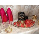 ���� �����, ������ - ��������� 13 ������� 2014 � ������ ���� ����������