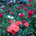 ���� ����, ���������, 58 ��� - ��������� 5 ���� 2014 � ������ ���� ����������