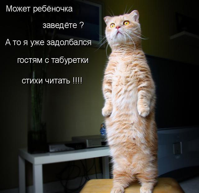   - 20  2014  21:18