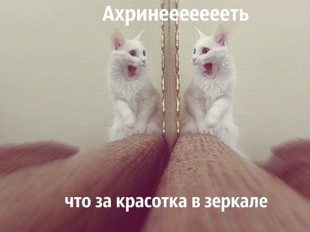 �������������� �� ���� �������� <a href=