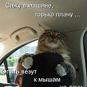 ���� Ta��, ������ - ��������� 16 ���� 2014 � ������ ������ ��������