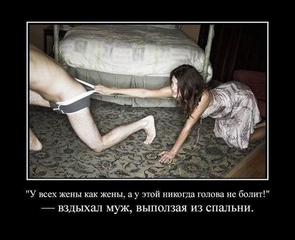  - 24  2014  17:09