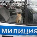 ���� �������, �������� - ��������� 29 ��� 2014 � ������ ������ ��������