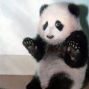 ���� Wonderland, ������ - ��������� 14 ���� 2014 � ������ ������