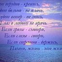���� �����, ������������ - ��������� 8 ������ 2014 � ������ ������ ��������