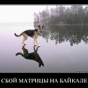 ���� ��������, ������-��-����, 64 ���� - ��������� 13 ���� 2014 � ������ ������ ��������