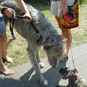    &quot;&quot;  .       ,   . - ,   .     ,       