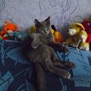 ���� ������, �����, 44 ���� - ��������� 27 ���� 2014 � ������ ������ ��������