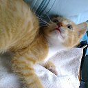 ���� ������, ����� - ��������� 15 ������� 2014 � ������ �������