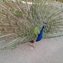 ����� ������ ������ �� ��������� � � ��������� �� ������� ���� ����������