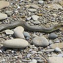 ��� ������.. �� ������� ���� ����������