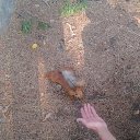 ���� C�������, ���� - ��������� 12 ���� 2014 � ������ ���� ����������