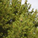 ���� ������, �������, 56 ��� - ��������� 29 ���� 2014 � ������ ���� ����������