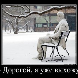 ���� ������, ���������, 55 ��� - ��������� 12 ��� 2014