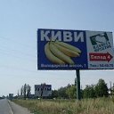  , , 49  -  17  2014   ....