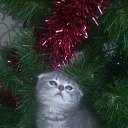 ���� ����, �����-���������, 55 ��� - ��������� 29 ����� 2014 � ������ ���� ����������