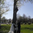 ���� �������, ������, 60 ��� - ��������� 25 ������ 2014 � ������ ���� ����������