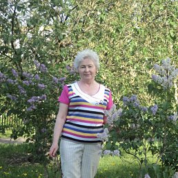 �����, ������, 77 ���