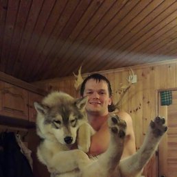 ���� ������, �����, 37 ��� - ��������� 18 ����� 2014