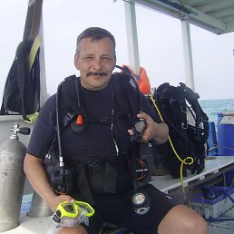 � ��� ���� �� ��� �������! ��� �� �����. 58 ������.