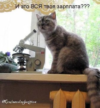 ������� - 29 ��� 2014 � 22:16