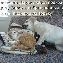���� �����, �����, 37 ��� - ��������� 16 ���� 2014 � ������ ������ ��������