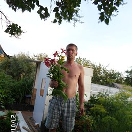 ,  , 52 