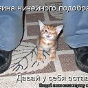 ���� ����������, ���� - ��������� 7 ������� 2014 � ������ ���� ����������