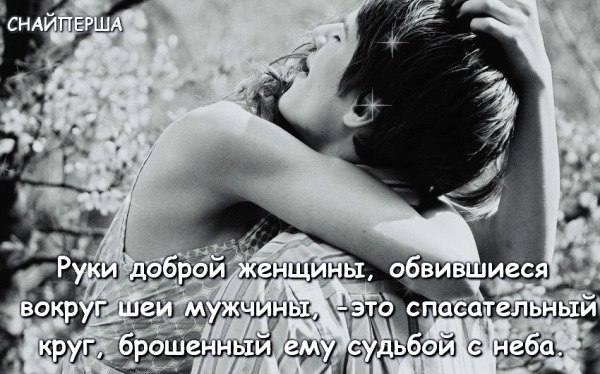 �������, ����� �����������, ���� ����� ���� � ������� ������� ����.