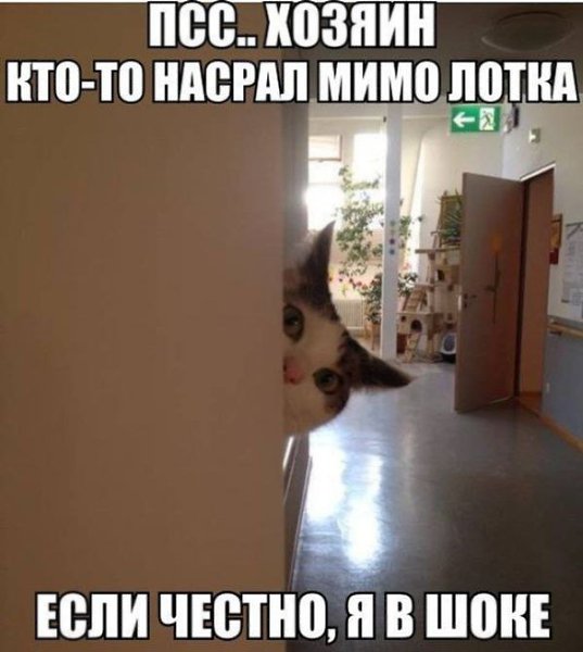 ����������� (18+) - 9 ���� 2014 � 20:34