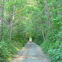 ���� ������, ������, 49 ��� - ��������� 6 ���� 2014 � ������ ������� �������