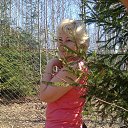 ���� �������, ������ - ��������� 3 ��� 2014