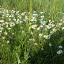  ++, , 55  -  10  2014     