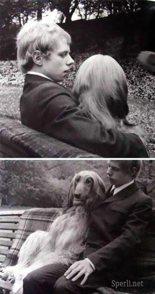 .•°Dogs Forever°•. - 11  2014  17:13