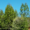 ���� �����, �����, 64 ���� - ��������� 4 ��� 2014 � ������ ������ � �����!�