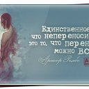 ���� �������, ������������, 40 ��� - ��������� 13 ��� 2014 � ������ ������ ��������