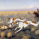 ���� ���������, ��������, 45 ��� - ��������� 12 ���� 2014 � ������ ������߻